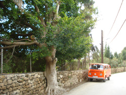 Straße in Byblos