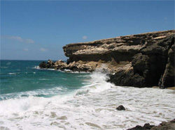 Fuerteventura Küste