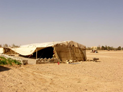 Zelt nahe Palmyra